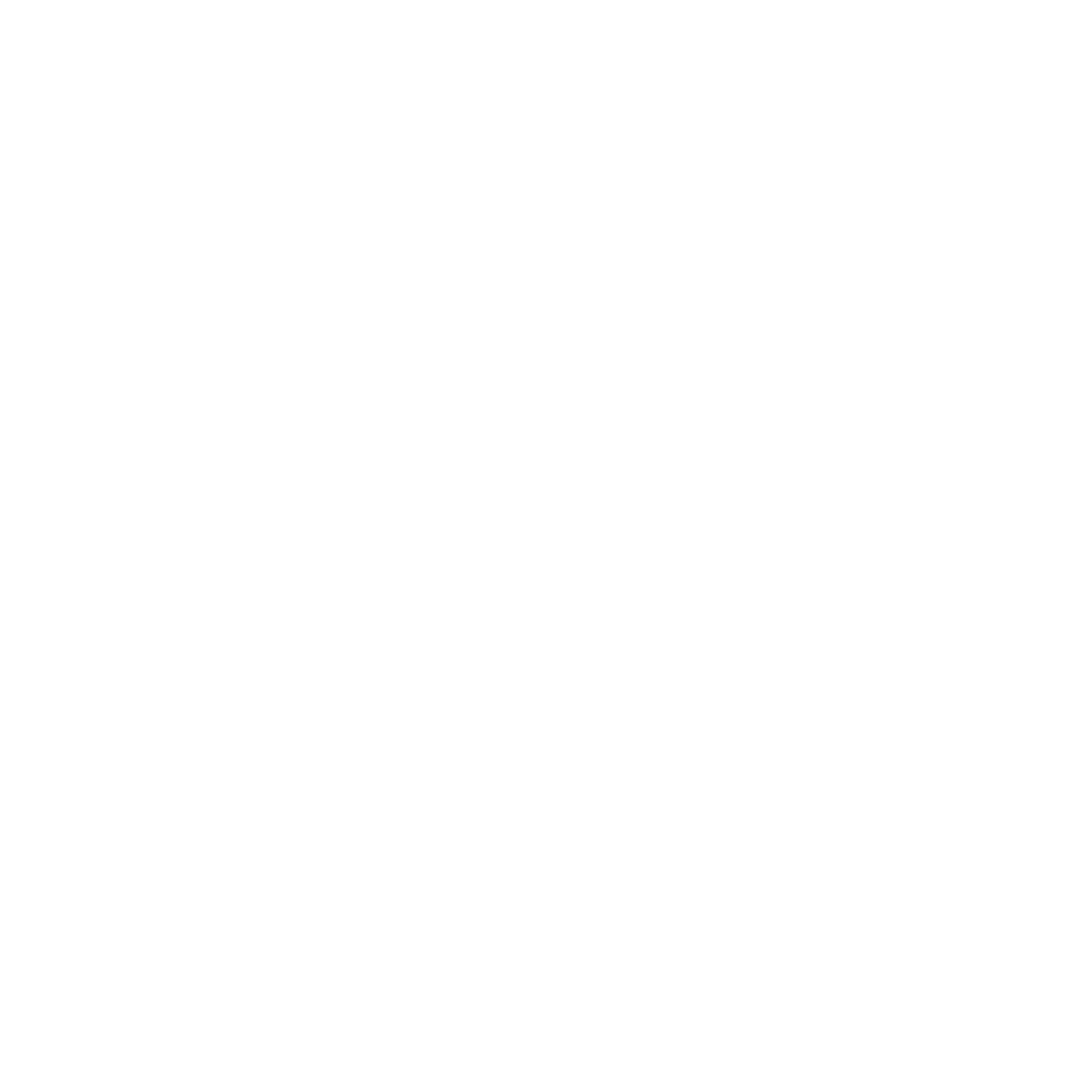 Logo, white, EdgeMind Solutions